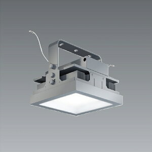 EFG5403S ENDO�Ɩ� �����Ɩ� �y���[�J�[�����z �V�[�����O���C�g�@20000�^�C�v�@5000K�@����