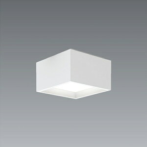 EFG5450W �V�[�����O 3000�^�C�v 4000K ��225 ���L�p ENDO�Ɩ� �y���[�J�[�����z