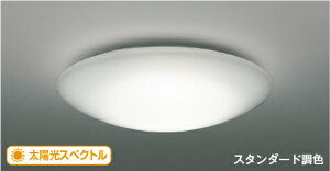 AH52389 �V�[�����O �y���[�J�[�����z KOIZUMI��������25