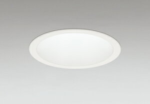 OD361597R ODELIC �I�[�f���b�N �y���[�J�[�����z LED�_�E�����C�g