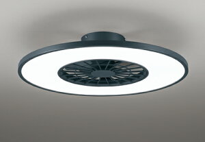 OL291439BR ODELIC �I�[�f���b�N �y���[�J�[�����z LED�V�[�����O���C�g