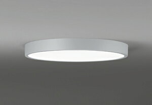 OL291848BR ODELIC �I�[�f���b�N �y���[�J�[�����z LED�V�[�����O
