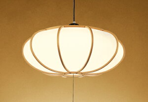 OP252401R ODELIC �I�[�f���b�N �y���[�J�[�����z LED�y���_���g