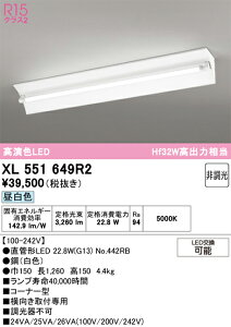 XL551649R2 ODELIC �I�[�f���b�N (OE) �����v�ʍ��� NO442RB 40S/N/34/G13/R90
