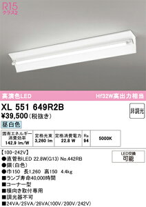 XL551649R2B ODELIC �I�[�f���b�N (OE) �����v�ʍ��� NO442RB 40S/N/34/G13/R90