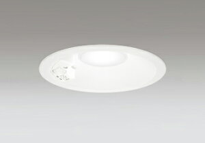 OD261962R LED�_�E�����C�g