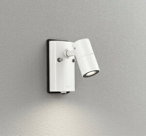 OG254920R1 �h�J�^LED�X�|�b�g