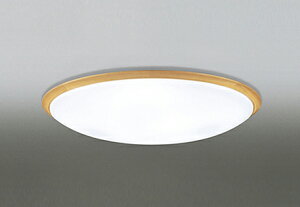 OL251623BCR LEDV[OCg