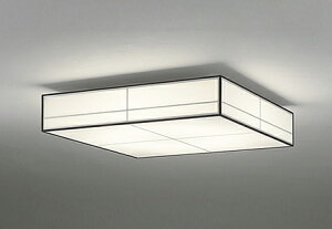 OL251836BCR LEDV[OCg
