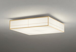 OL291024BCR LEDV[OCg