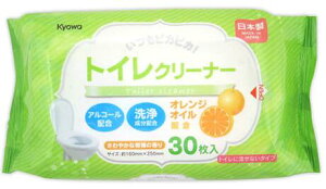 15-319@gCN[i[ 16×25cm 30@ 60_Zbg@ʒ\100~ψ 100ψ 100 100~Vbv֍N[i[ |V[g