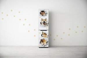 �n�C�A�[��(Haier) freemo(�t���[��) JR-SX21A/JR-HS21��p�}�O�l�b�g�J�o�[ ���������