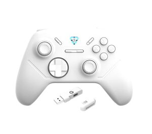 GRAPHT Omni �R���g���[���[ ���� �L�� �ڑ�/USB-C USB-A / 2.4GHz �h���O��/�z�[���G�t�F�N�g �Z���T�[ / 1000Hz �|�[�����O���[�g/���[�V�����Z���T�[ �W���C���@�\ / 190g