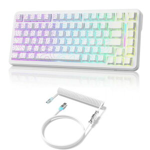 ATTACK SHARK X82PRO HE �O���[�h�����Q�[�~���O�L�[�{�[�h�A8000Hz�|�[�����O&0.1ms��x���������A75% ���C�����X�A���s�b�h�g���K�[