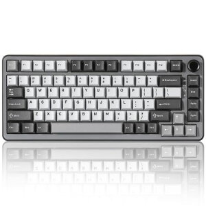 YUNZII B75 PRO 75% �K�X�P�b�g�Q�[�~���O�L�[�{�[�h �������J�j�J���L�[�{�[�h BT/2.4G/�L�� ���C�����X �z�b�g�X���b�v ���� RGB �m�u�t���J�X�^���L�[�{�[�h Mac/Win�p �Z�K�F�؎擾 (�_�[�N�O���c
