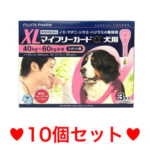 Ryzցzp }Ct[K[h XL i40`60kgj 3{ [10Zbg]