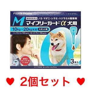 My[ցzp }Ct[K[h M i10`20kgj 3{ [2Zbg]