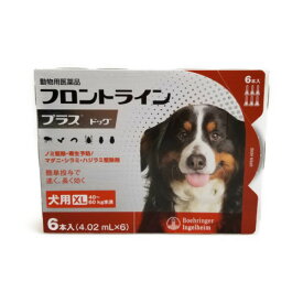 C【メール便・送料無料】犬用　フロントラインプラス　XL（40〜60kg未満）　6本入　※期限2025.4　なくなり次第終売