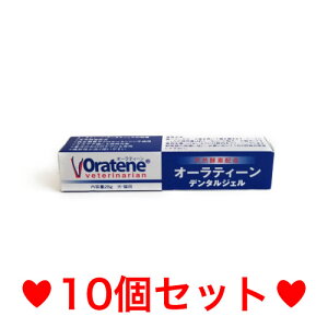 Cy[ցz@I[eB[f^WF 28g Lp PKBWp ݂@[10Zbg]