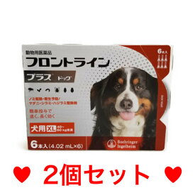 C【メール便・送料無料】犬用　フロントラインプラス　XL（40〜60kg未満）6本入　[2個セット]　※期限2025.4　なくなり次第終売