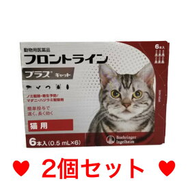 ◎◎【メール便・送料無料】猫用　フロントラインプラス　6本入　[2個セット]　※期限2025.10　なくなり次第終売