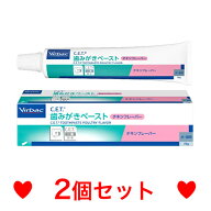 C【ゆうパケット】　歯磨きペースト　チキン　70g　[2個セット]　ビルバック