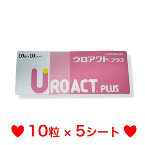 OPy[ցz Lp EANgvX 10×5V[g i̔EȂj