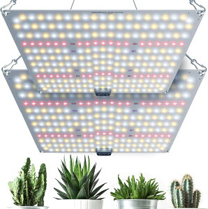 ԎoIŐVi60WIyiA1ʁzA琬Cg led 琬Cg 600WALED ϗtACg ApledCgʎqv k͔|v pl Pxƕs