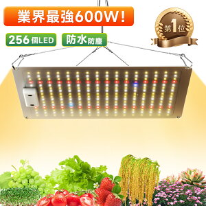 yizA琬Cg LEDA琬 ϗtA Cg 600W 256LEDv pd̐݌v ͔|v ^C}[t 4360°߉\ ƕs A ͔| PSEF؍ς
