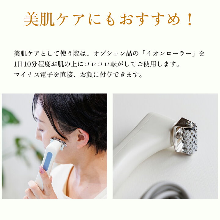 楽天市場】【正規品保証】タカダイオン 厚生労働省認可 マイナス電子 