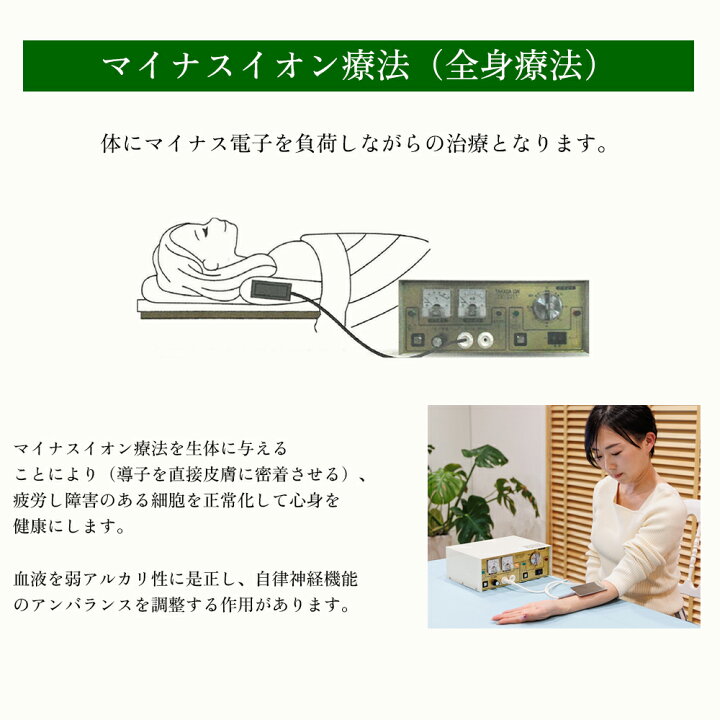 楽天市場】【正規品保証】タカダイオン 厚生労働省認可 マイナス電子 