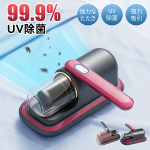 _60OFF2,996~^zcN[i[ ͋z zc|@ UV v Jr N[i[ L  |@ ԕ C _jގ  nfB nEX_Xg | ӂƂN[i[  yb