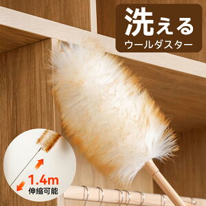 E[_X^[ nfBCp[ VRr ͂ ق nfB[Cp[  uV nhbv  nfBbv т΂ NX}Xv[g  a