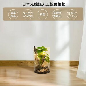 SUNAVIϗtA{Ƃ!~jCeAO[LELC͂ȂlHϗtAy{G}zO[Cgtv[gja̓