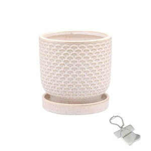 J-kitchensSelectԕrAؔԖڃfUC|bgAC{[S10xH9.5cmIWi^Ot