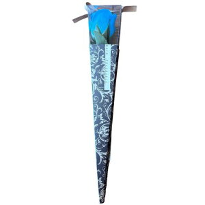 L[t(Q-FLA)\[vt[܃u[Pԑ1ֈփAxXN~jP[u[̓Mtg蕨813764