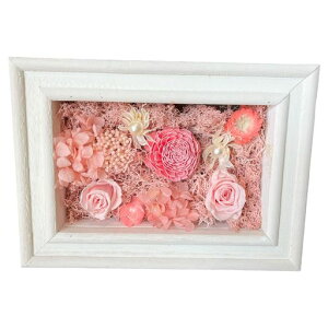 L[t(Q-FLA)AWXNGAt[vU[uht[zCgsN̓Mtg蕨813214