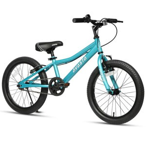 �yAVASTA�zBilbo �q��MTB�}�E���e���o�C�N �t�@�b�g�^�C�����]�� �j�̎q ���̎q ���w����w�N���w�N �X���ʊw ���O���`�F�[���P�[�X/�L�b�N�X�^���h�t�� ���������\ 20�C���` �u���[