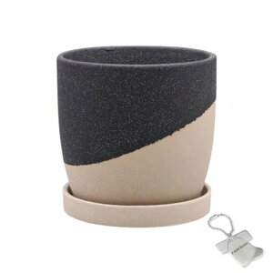 J-kitchensSelectԕrAؔĂfUC|bgA-SubN12xH11cmIWi^Ot