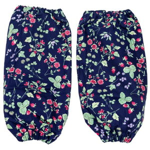 R[WJpj[V\hDtB[A[Jo[NV{ԕ100%