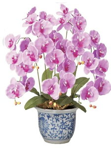 Ӓ3{lHϗtAG}CeAO[픫ϔsN55cm(VzjJXjMtgv[g)30150