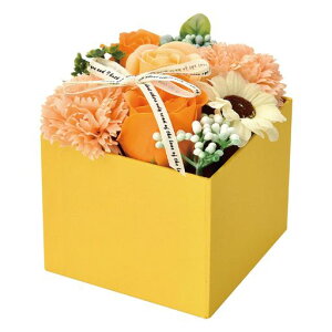 |s[É\[vt[V{t[ԃMtgv[gt[{bNXo{bNX12cmS-210IW