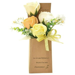 |s[É\[vt[V{t[ԃMtgv[g4փu[PBOXo{bNX25cmNAP[XtSH-044CG[