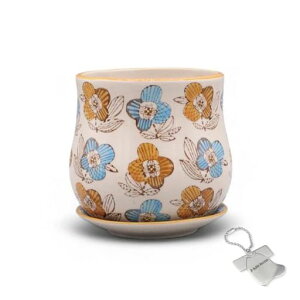 J-kitchensSelectԕrAؔ󂯎Mtt[v^[E12xH10cmIWIWi^Ot