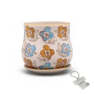 J-kitchensSelectԕrAؔ󂯎Mtt[v^[E12xH10cmIWIWi^Ot