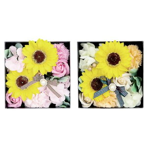 L[t(Q-FLA)\[vt[oXtOXЂ܂{bNXAWBZbg(PK/OR)Mtgv[g܃oXPA830747