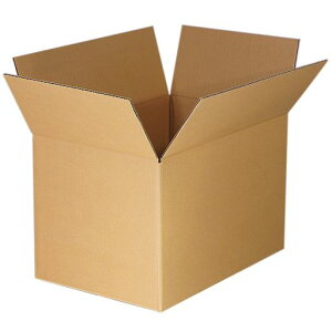 {_{[100TCY15Zbgi{[zz100(܂肽ݔzi)dC3-H-15