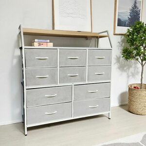 MTKO`FXg^X[`FXgeʎ[4i10trO[m[RZgt105x30x100cmgȒP[P[XؐVl炵wƒp(ؐF)