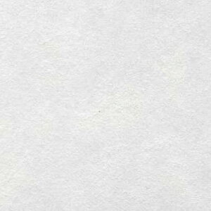 ۘa(Maruwa)ʎ_TM-160aǎzOaNXӂ܎sRRfޒH97cmx5m