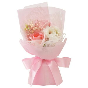 |s[É\[vt[V{t[ԃMtgv[g3փu[Poԑ23cmMtg{bNXtSH-053sN